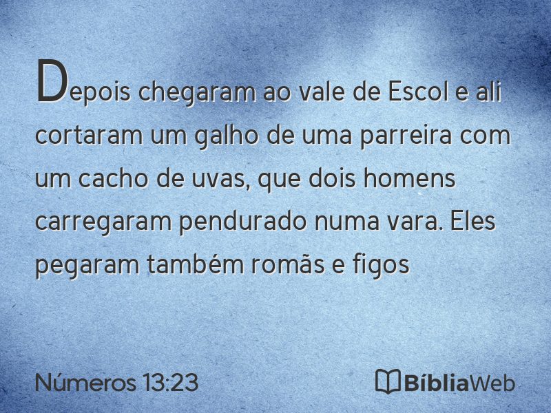Números 13:23 em imagem para compartilhar