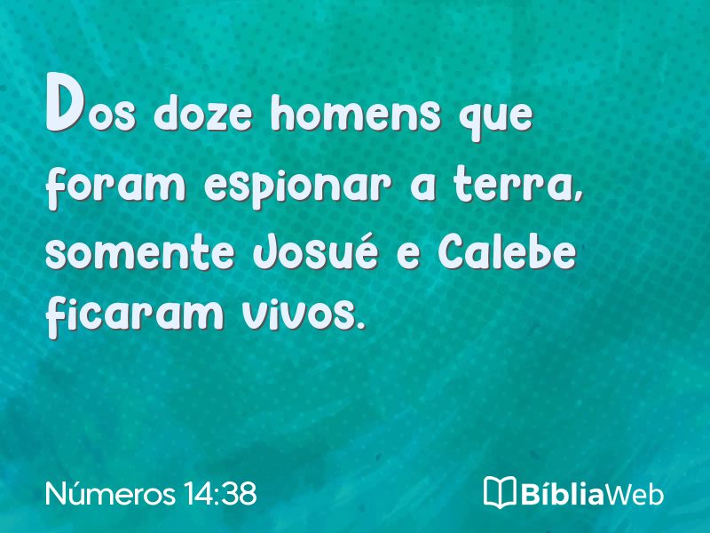 Números 14:38 em imagem para compartilhar