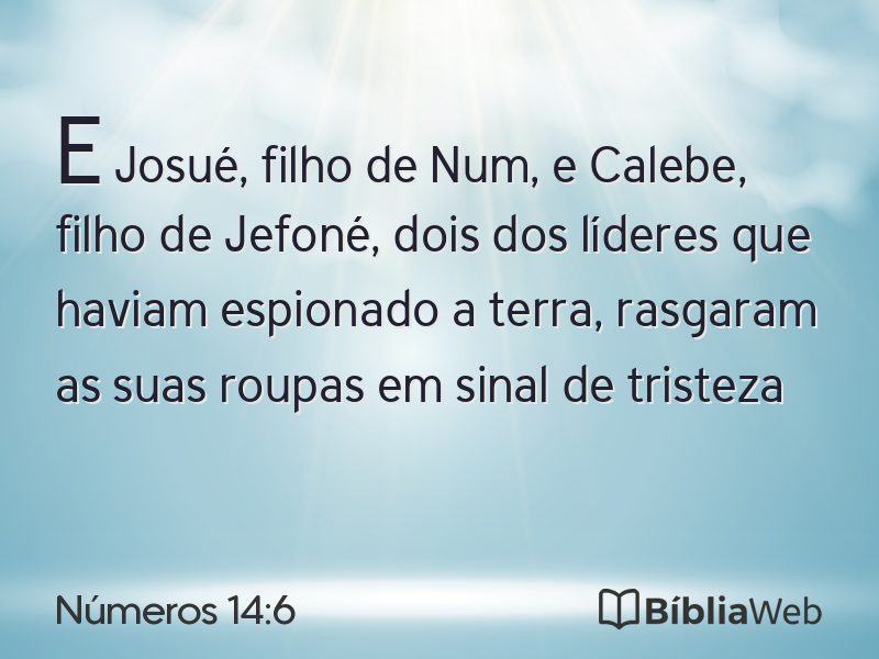 Números 14:6 em imagem para compartilhar
