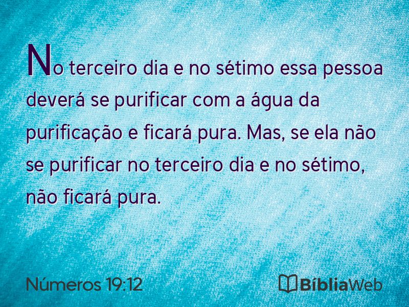 Números 19:12 em imagem para compartilhar