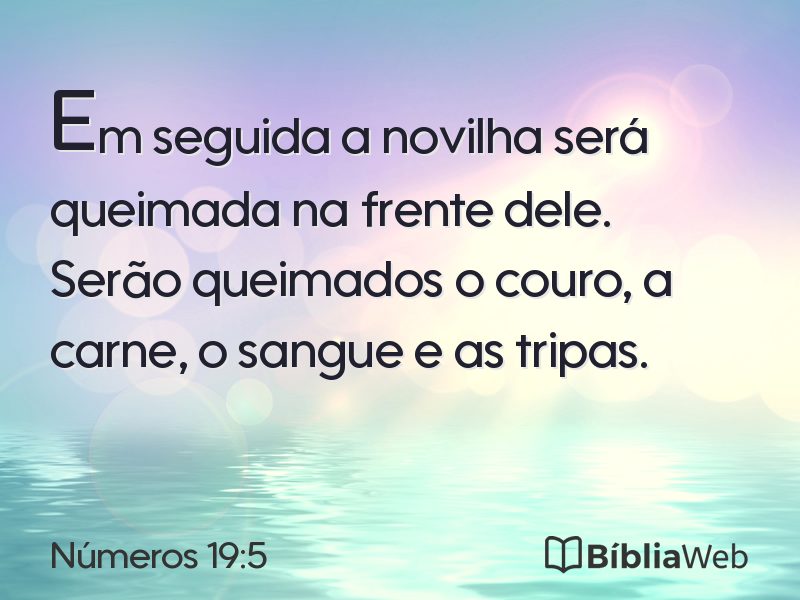 Números 19:5 em imagem para compartilhar