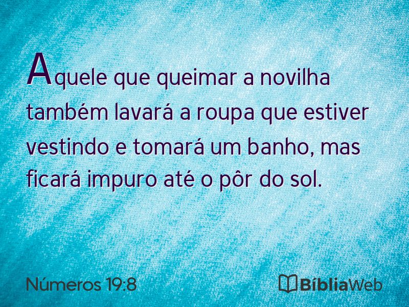 Números 19:8 em imagem para compartilhar