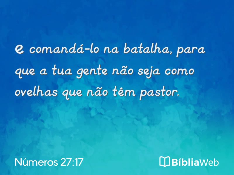 Números 27:17 em imagem para compartilhar
