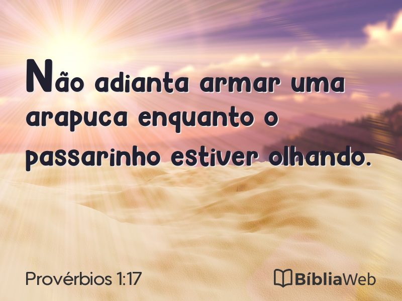 Provérbios 1:17 em imagem para compartilhar