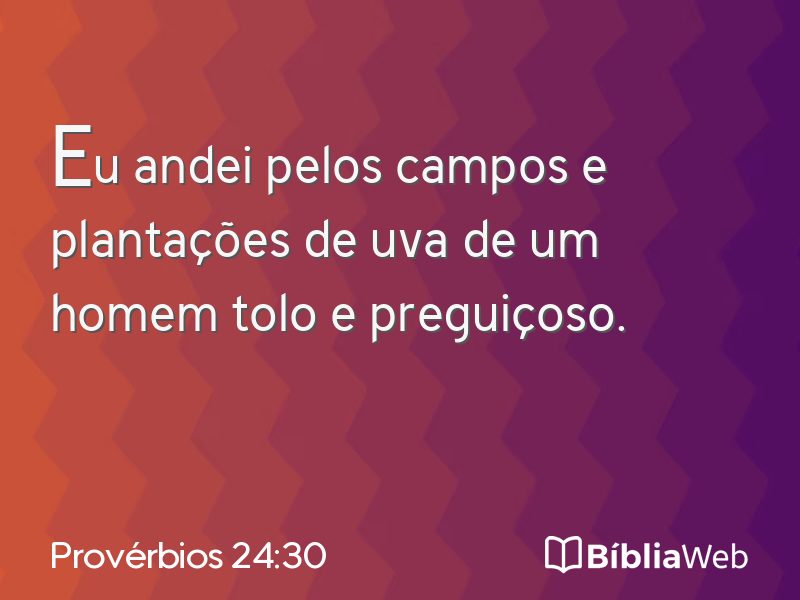 Provérbios 24:30 em imagem para compartilhar