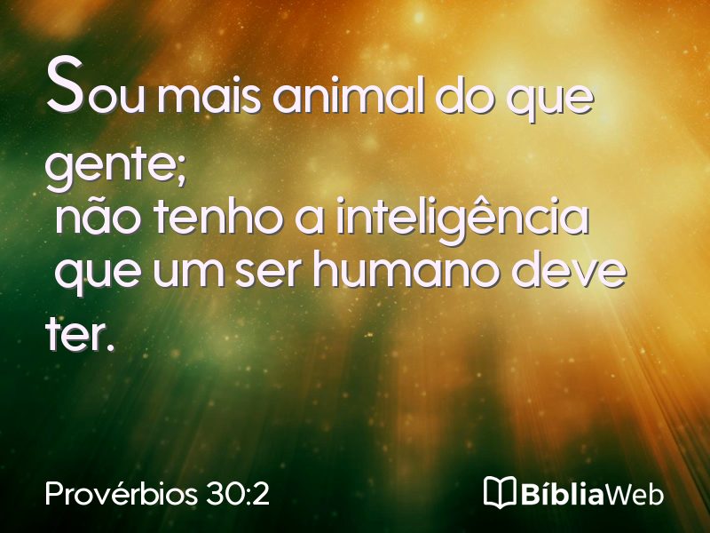 Provérbios 30:2 em imagem para compartilhar