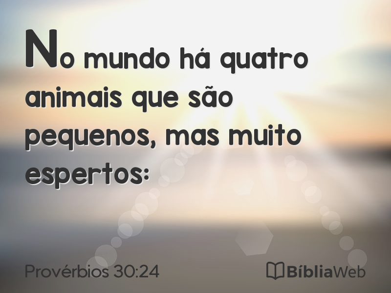 Provérbios 30:24 em imagem para compartilhar