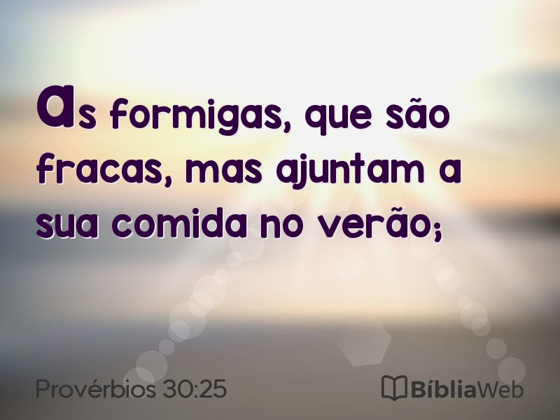 Provérbios 30:25 em imagem para compartilhar