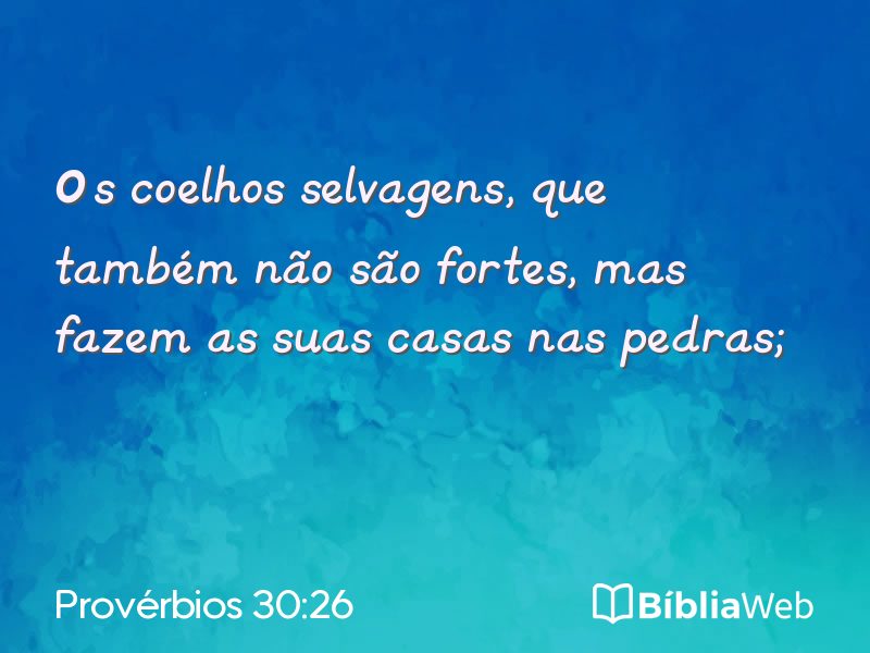 Provérbios 30:26 em imagem para compartilhar