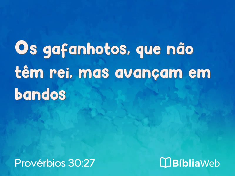Provérbios 30:27 em imagem para compartilhar