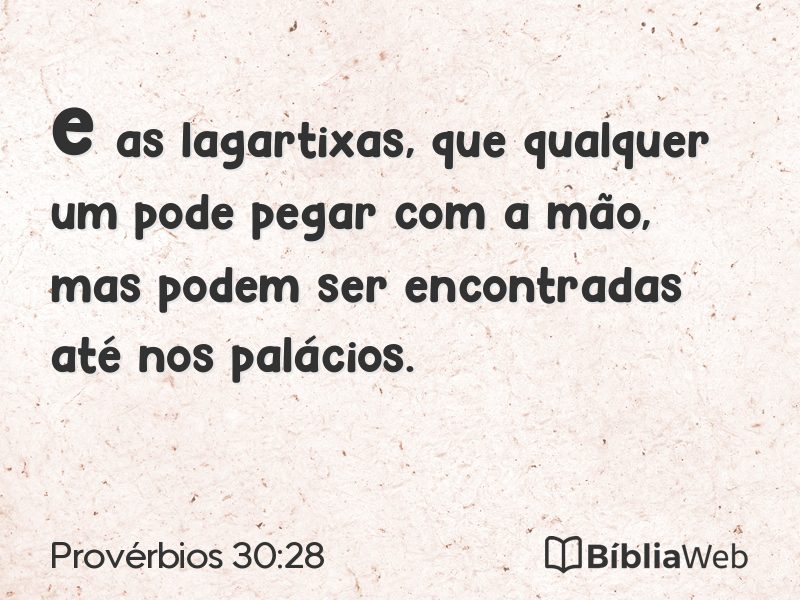 Provérbios 30:28 em imagem para compartilhar