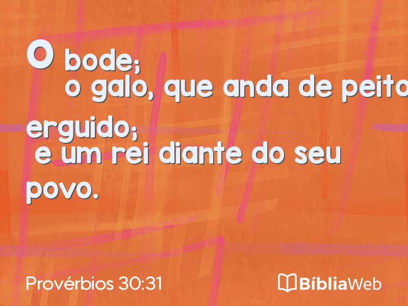 Provérbios 30:31 em imagem para compartilhar