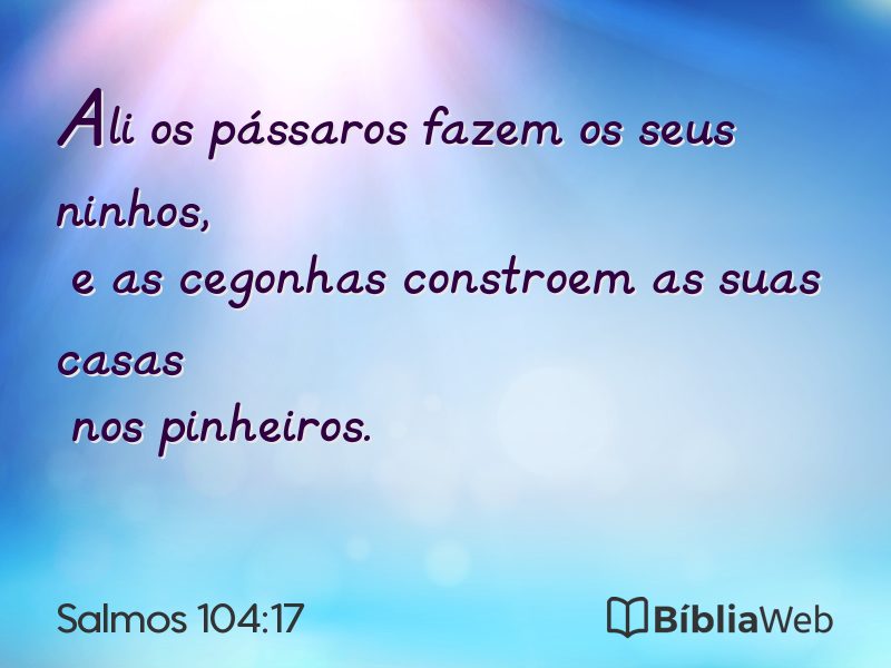 Salmos 104:17 em imagem para compartilhar