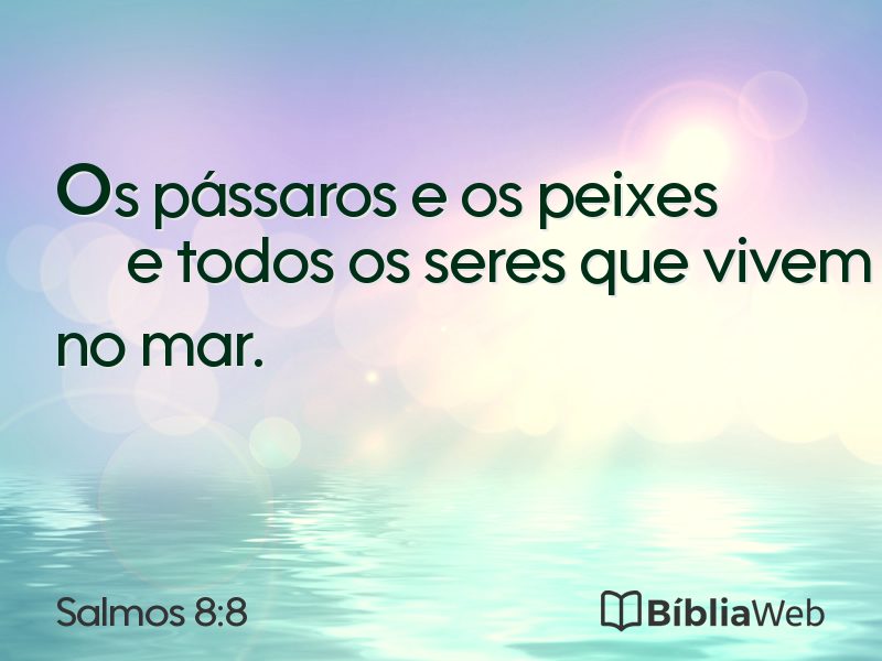 Salmos 8:8 em imagem para compartilhar