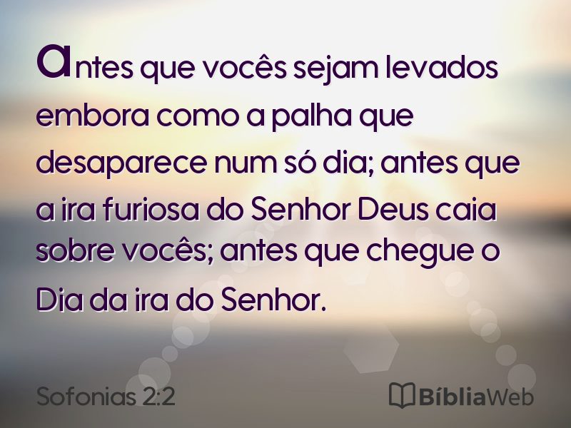 Sofonias 2:2 em imagem para compartilhar
