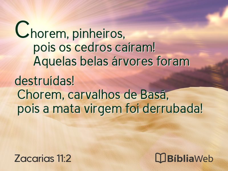 Zacarias 11:2 em imagem para compartilhar