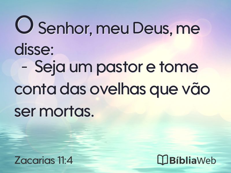 Zacarias 11:4 em imagem para compartilhar