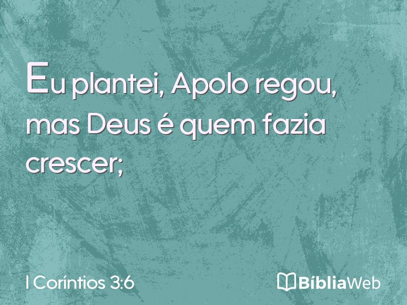 I Coríntios 3:6 em imagem para compartilhar