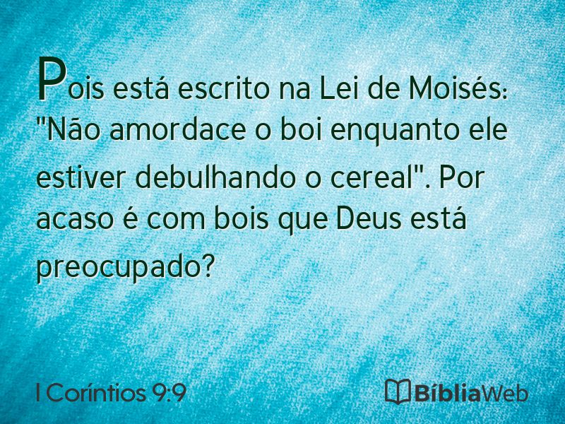 I Coríntios 9:9 em imagem para compartilhar