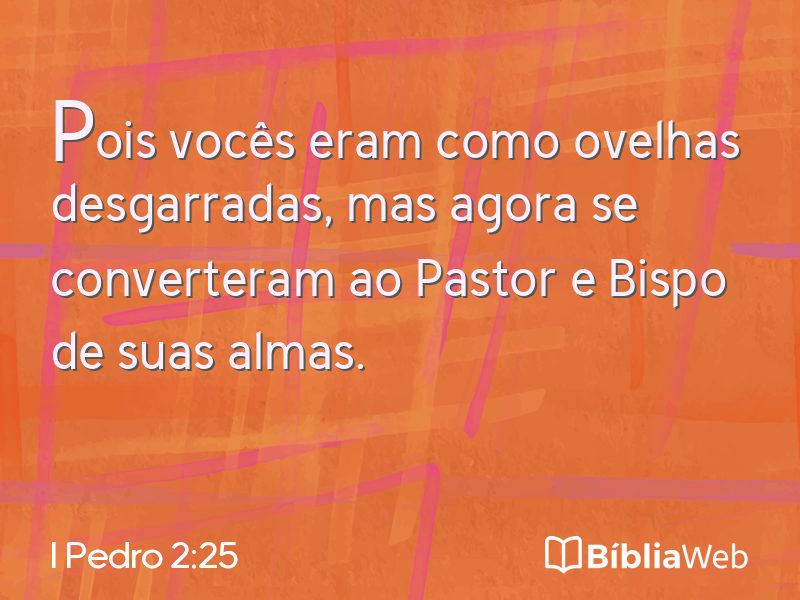 I Pedro 2:25 em imagem para compartilhar