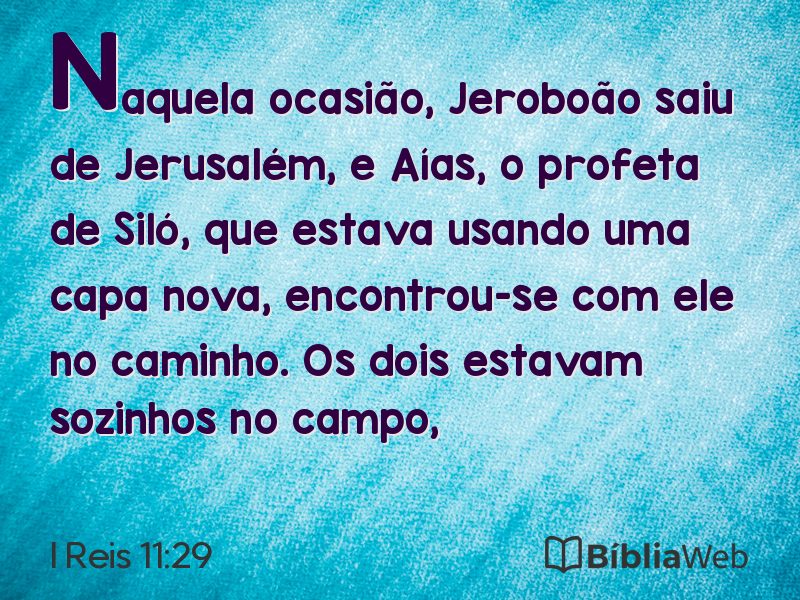 I Reis 11:29 em imagem para compartilhar