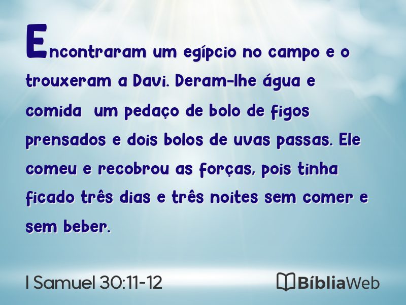 I Samuel 30:11-12 em imagem para compartilhar