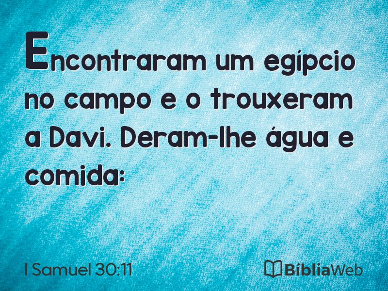 I Samuel 30:11 em imagem para compartilhar