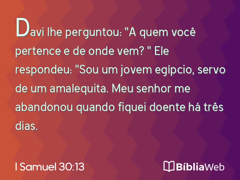 I Samuel 30:13 em imagem para compartilhar