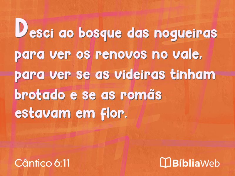 Cântico 6:11 em imagem para compartilhar