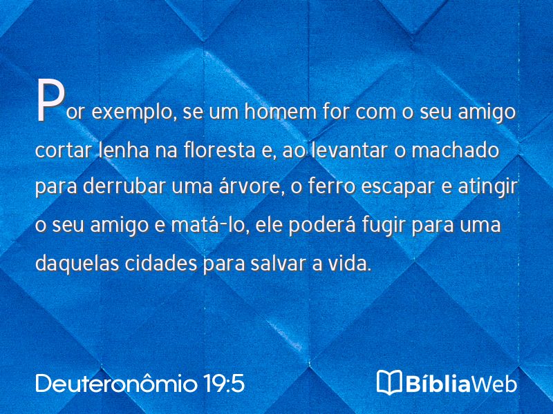 Deuteronômio 19:5 em imagem para compartilhar