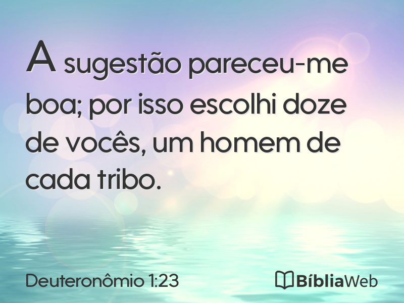 Deuteronômio 1:23 em imagem para compartilhar