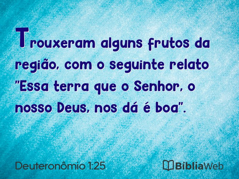 Deuteronômio 1:25 em imagem para compartilhar