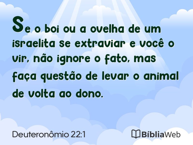 Deuteronômio 22:1 em imagem para compartilhar