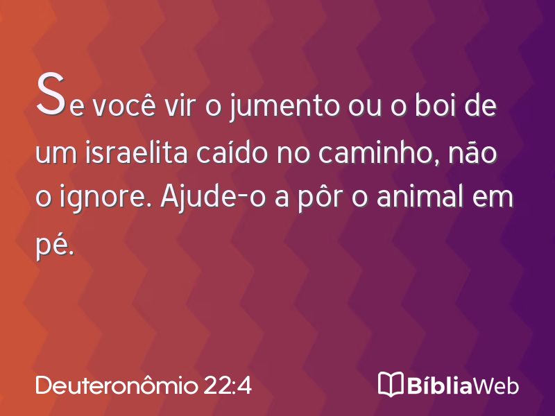 Deuteronômio 22:4 em imagem para compartilhar