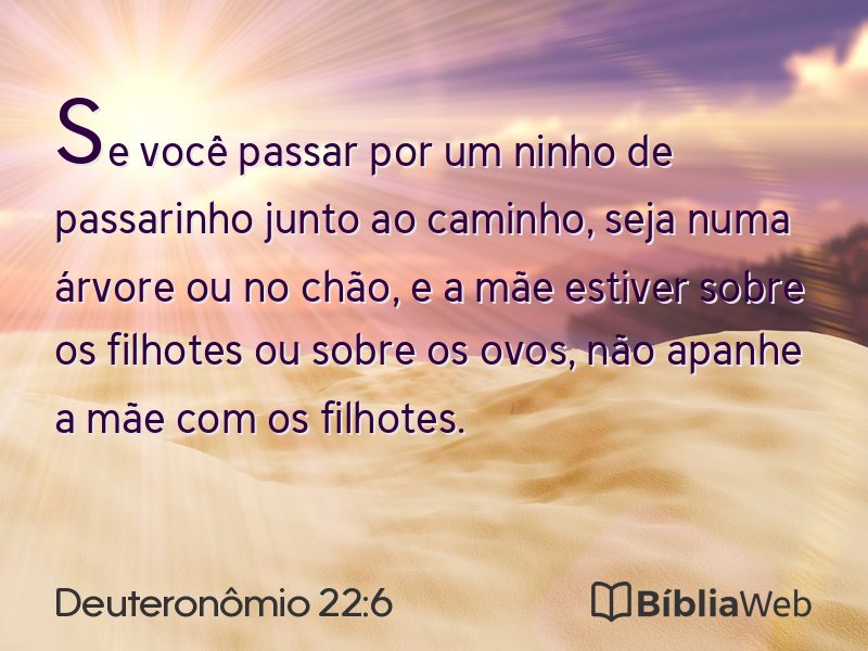 Deuteronômio 22:6 em imagem para compartilhar