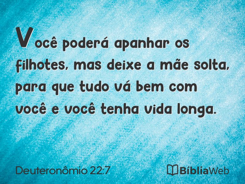 Deuteronômio 22:7 em imagem para compartilhar