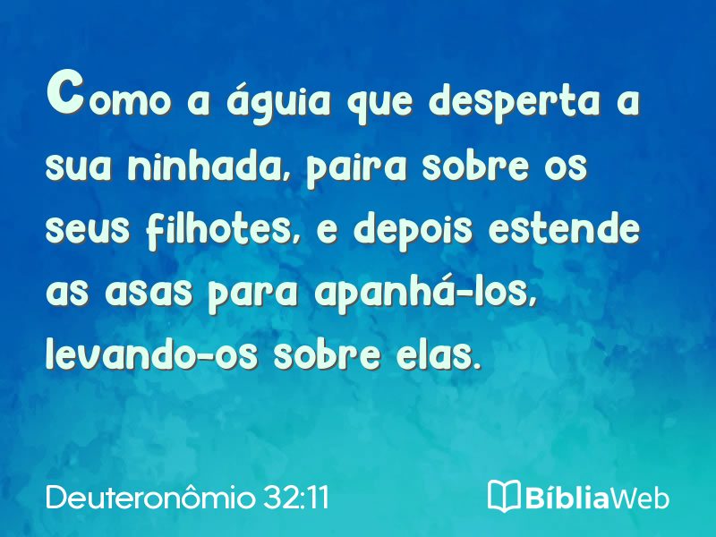 Deuteronômio 32:11 em imagem para compartilhar