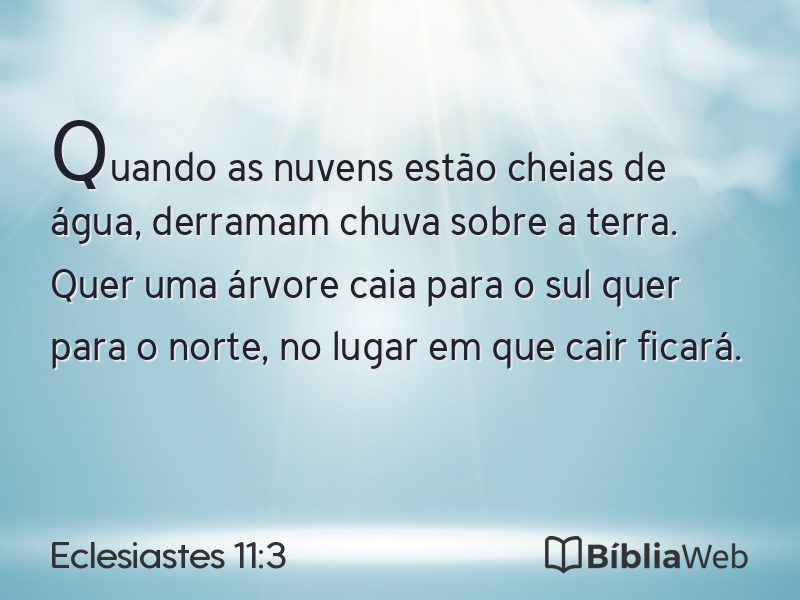 Eclesiastes 11:3 em imagem para compartilhar
