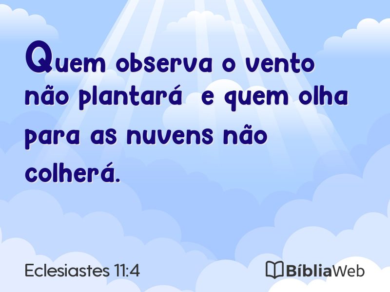 Eclesiastes 11:4 em imagem para compartilhar