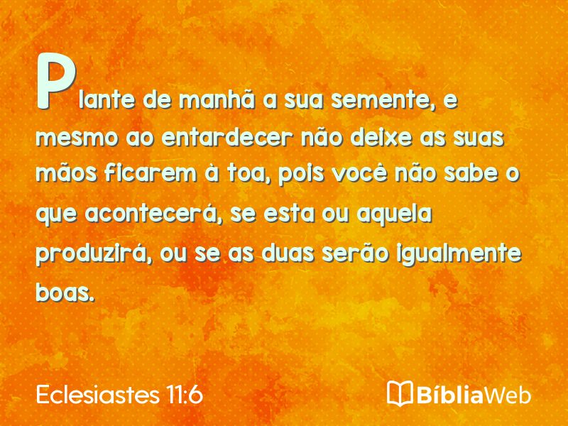 Eclesiastes 11:6 em imagem para compartilhar