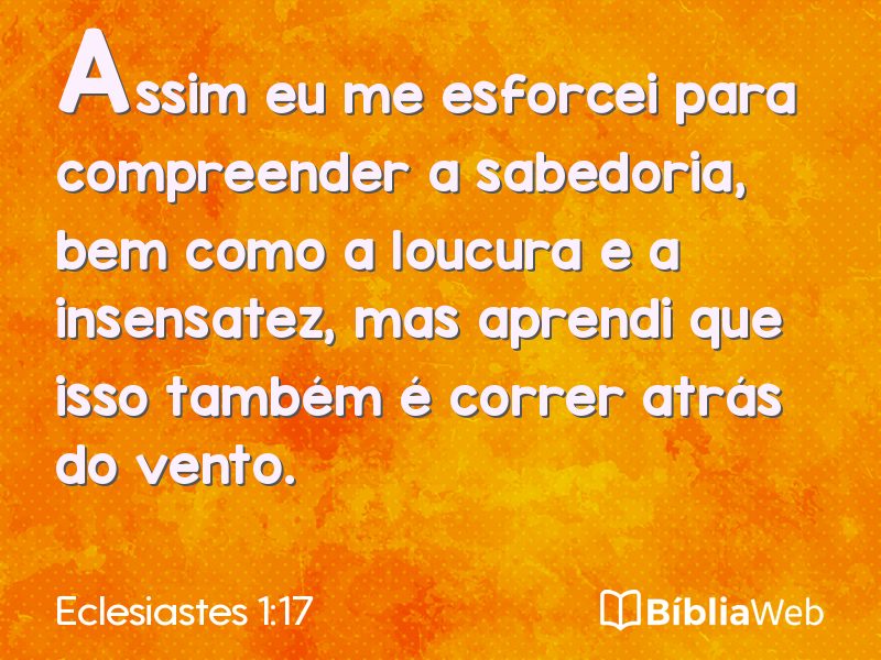 Eclesiastes 1:17 em imagem para compartilhar