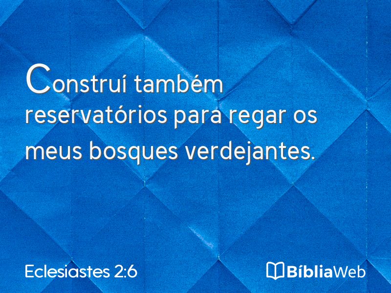 Eclesiastes 2:6 em imagem para compartilhar
