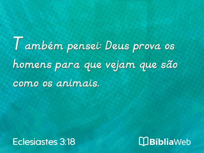 Eclesiastes 3:18 em imagem para compartilhar