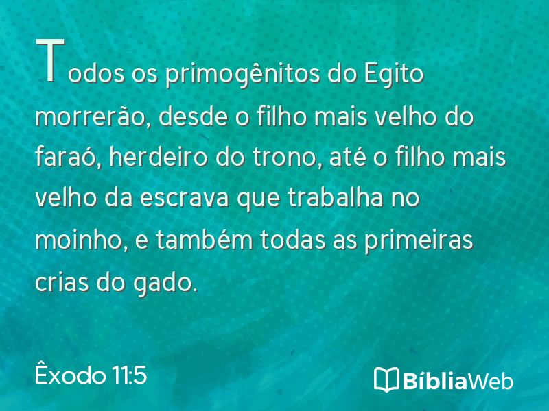 Êxodo 11:5 em imagem para compartilhar