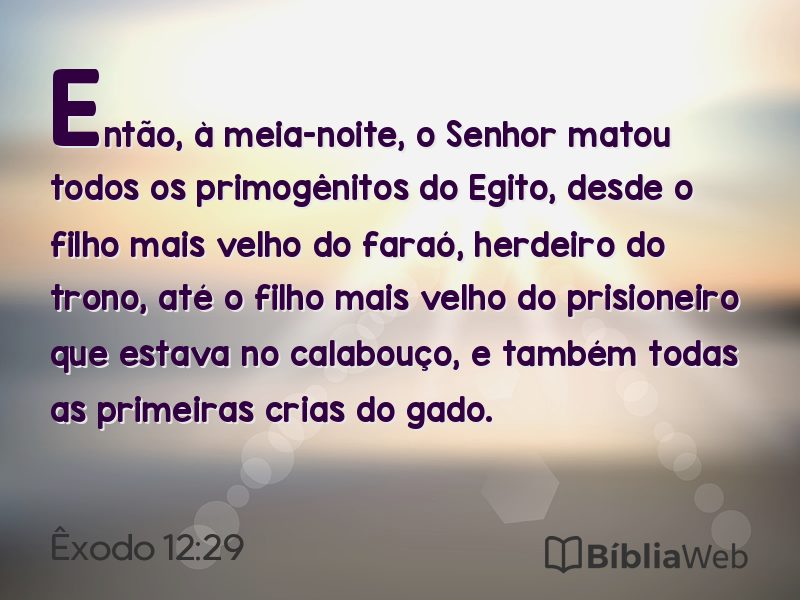Êxodo 12:29 em imagem para compartilhar