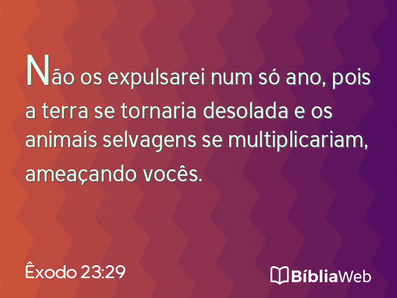 Êxodo 23:29 em imagem para compartilhar