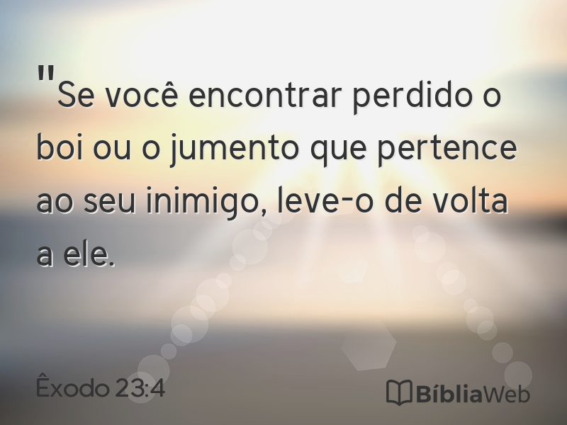 Êxodo 23:4 em imagem para compartilhar