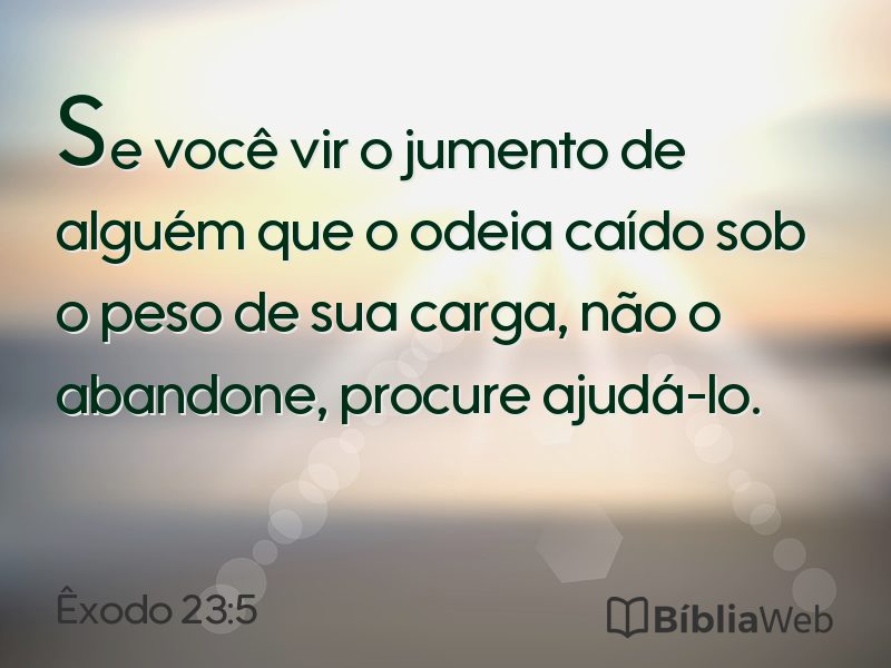 Êxodo 23:5 em imagem para compartilhar