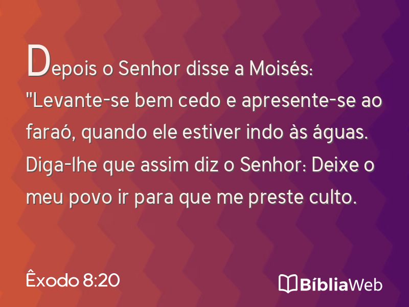 Êxodo 8:20 em imagem para compartilhar