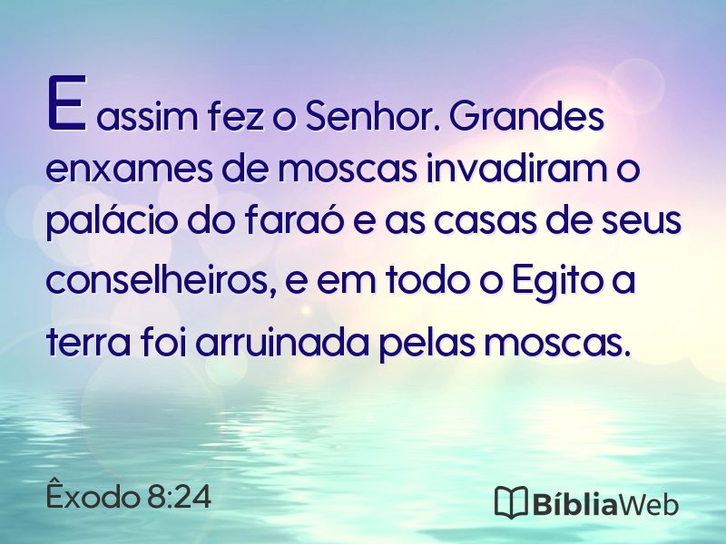 Êxodo 8:24 em imagem para compartilhar